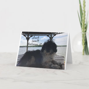 **70** HOW DOES IT FEEL BIRTHDAY HUMOR CARD