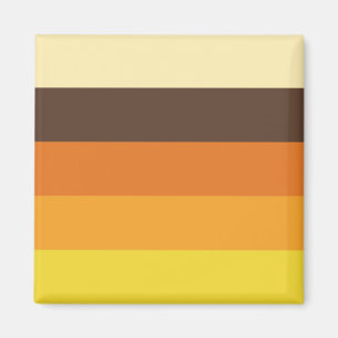 70s Retro Striped Colour Pattern Magnet