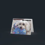 *70th BIRTHDAY* HA HA HA (FUNNY DOG HUMOR) Card<br><div class="desc">I LOVE THIS CARD AND HOPE YOU DO AS WELL. WHAT A CUTIE SHE IS!!!! THANKS FOR STOPPING BY 1 OF MY 8 STORES AND HAVE A GREAT DAY!</div>