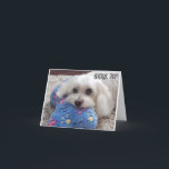 *70th BIRTHDAY* HA HA HA (FUNNY DOG HUMOR) Card<br><div class="desc">70th BIRTHDAY HUMOR FOR THE "50 YEAR OLD AND DOG LOVER" IN YOUR LIFE... ..THANK YOU FOR STOPPING BY ONE OF MY EIGHT STORES.</div>
