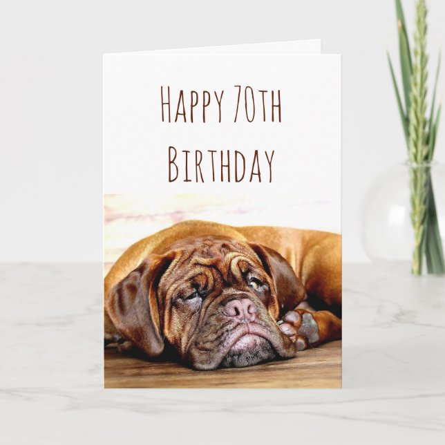 70th Birthday Sad Dog Stay Pawsitive Humour Card (Front)