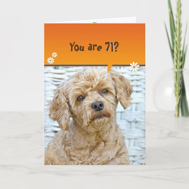 71st birthday brown poodle on wicker card (Front)