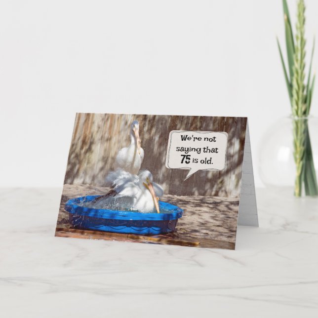 75th Birthday Pelicans Humour  Card (Front)