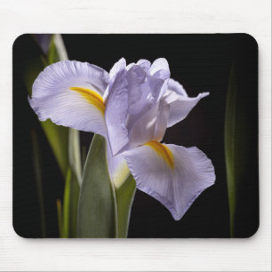 7659-2-Purple Iris Mouse Pad