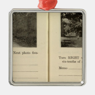 77881 Crotonon Hudson Buchanan Metal Ornament