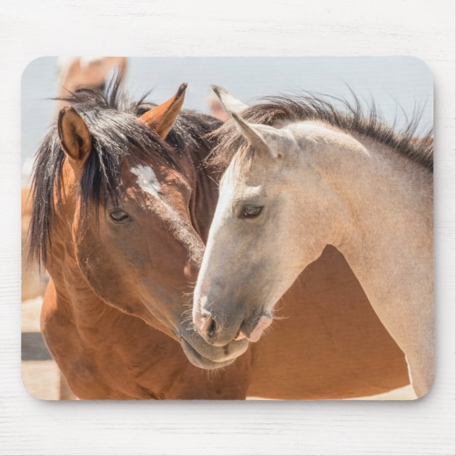 7911-Two Wild Mustangs Mouse Pad (Front)