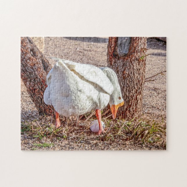 7928-Oie blanche debout au-dessus du puzzle des oe (Horizontal)