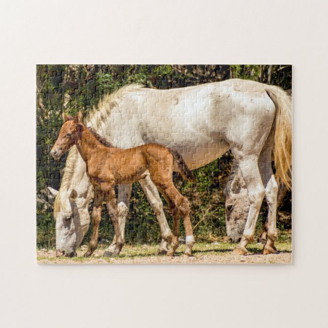 7985-Mama & Baby Wild Mustangs Puzzle (Horizontal)