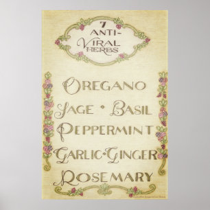 7 Anti-Viral Herbs Poster (Vintage) 