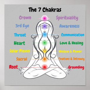 7 Chakras 12x12" Poster