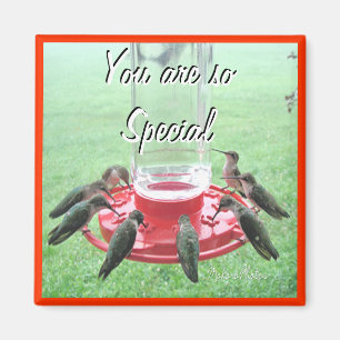 7 Hummingbirds- customize Magnet