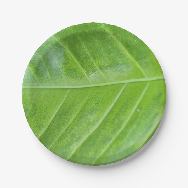 7-Inch Paper Plates with Enchanting Green Leaf  (Front)