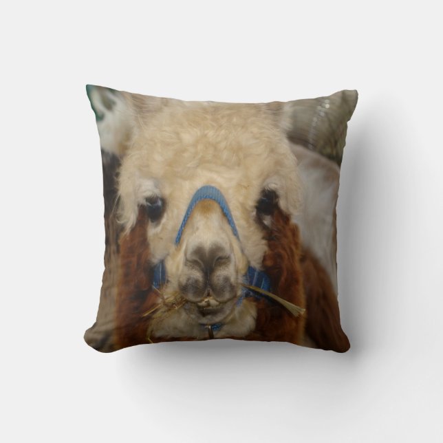 #7-Llamas & Alpacas Throw Pillow (Front)