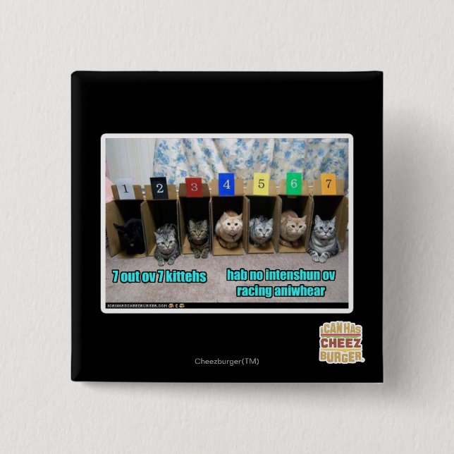 7 out ov 7 kittehs 2 inch square button (Front)