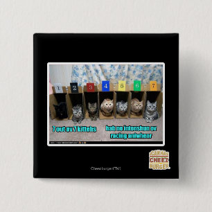 7 out ov 7 kittehs 2 inch square button