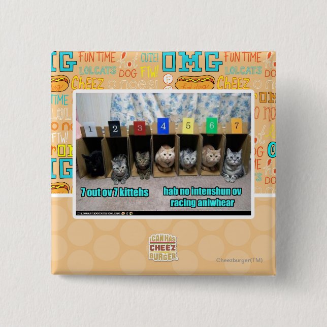 7 out ov 7 kittehs 2 inch square button (Front)