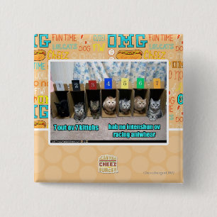 7 out ov 7 kittehs 2 inch square button