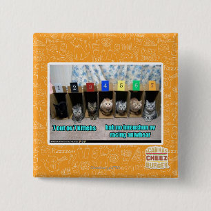 7 out ov 7 kittehs 2 inch square button