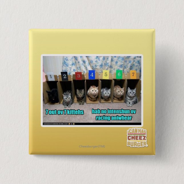 7 out ov 7 kittehs 2 inch square button (Front)