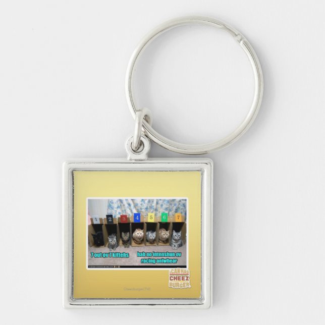 7 out ov 7 kittehs keychain (Front)