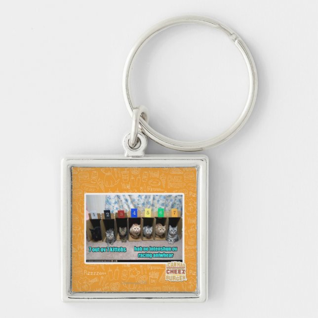 7 out ov 7 kittehs keychain (Front)