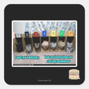 7 out ov 7 kittehs square sticker