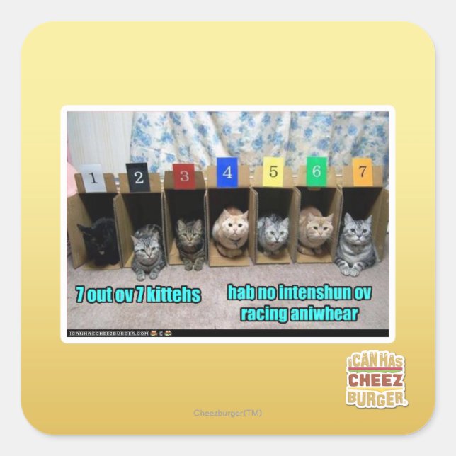 7 out ov 7 kittehs square sticker (Front)