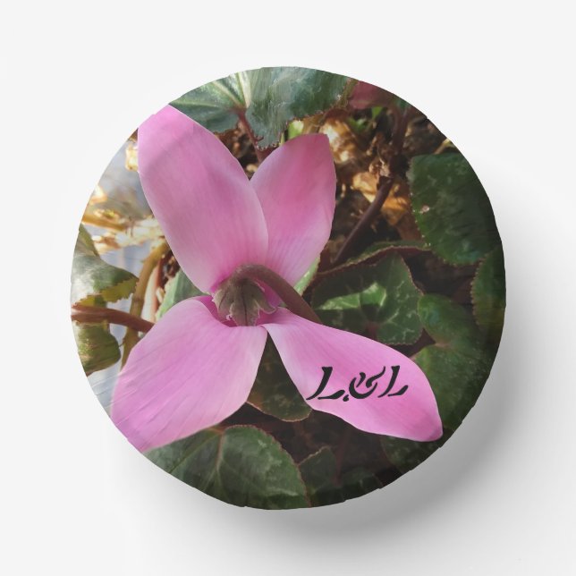 7"paper plates bowl (Front)