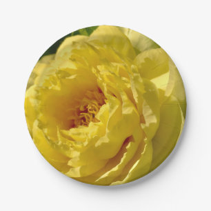 7" paper plates, Double Yellow Peony Paper Plate