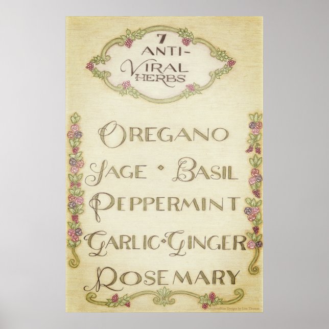7 Poster d'herbes antivirales (Vintage) (Devant)