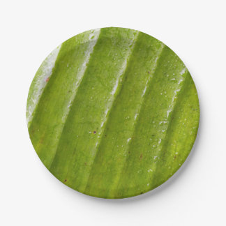 7" Round Paper Plate with Pure Banana Leaf