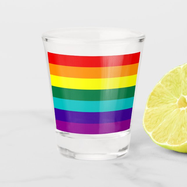 7 Stripes Rainbow Pride Flag Shot Glass (Front)