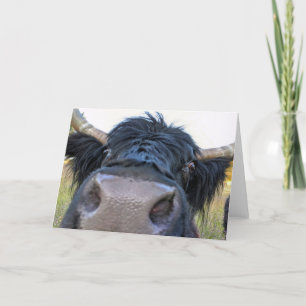 7"x5" Folded Card    Banana Peel Cow
