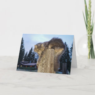 7"x5" Folded Card Cathletic Cat