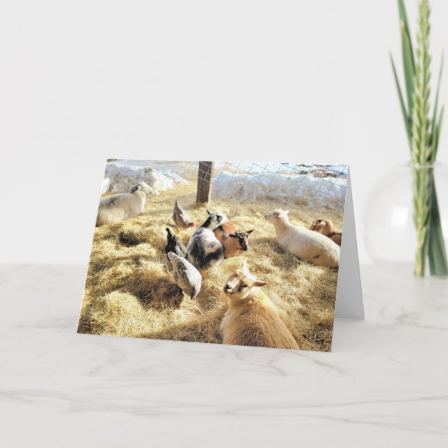 7"x5" Folded Card || Critters In Hay (Front)