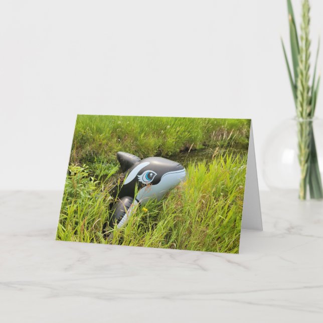7"x5" Folded Card || Sage Creek Orca (Front)