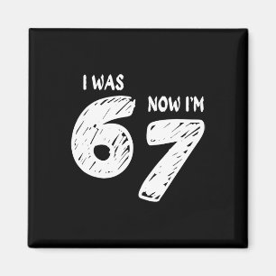 7 Year Old Birthday Shirt Was 6 Now I'm 7 67 Funny Magnet