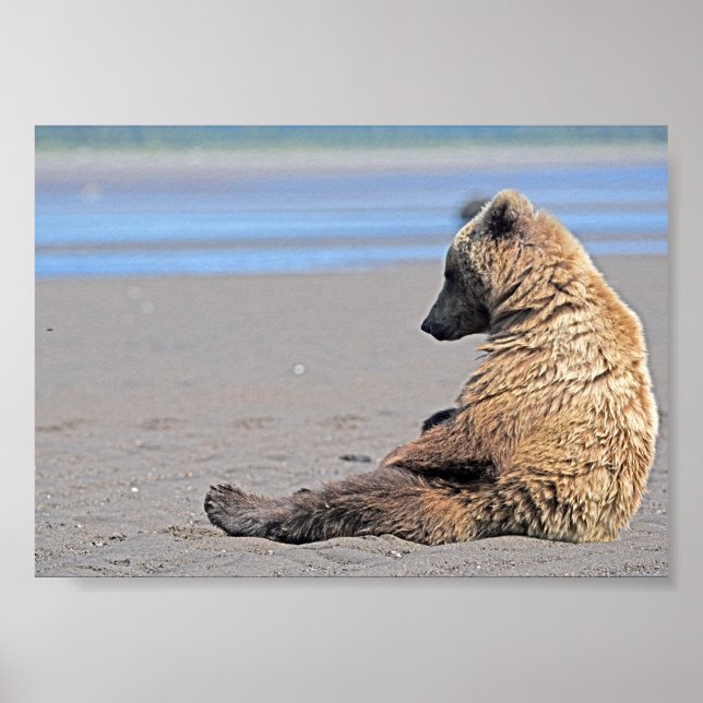 7x5  Poster Paper (Matte) of grizzly bear cub (Front)