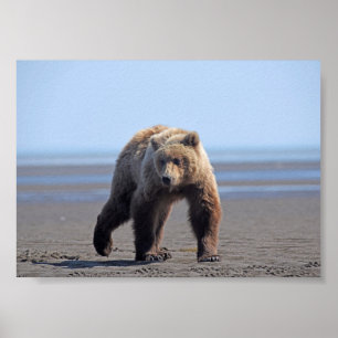 7x5  Poster Paper (Matte) of grizzly bear cub