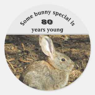 80 Years Young Adorable Rabbit Photo 80th Birthday Classic Round Sticker