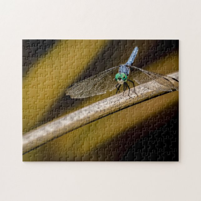 8379-Blue Dragonfly on a Reed in Pond Puzzle (Horizontal)