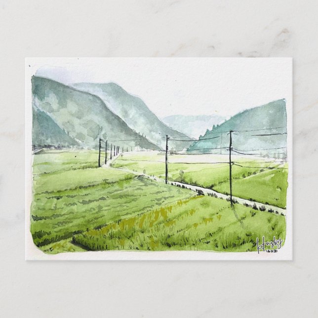 86: Morning rice field Postcard (Front)