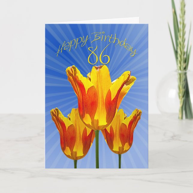 86th Birthday card, tulips full of sunshine Card (Front)