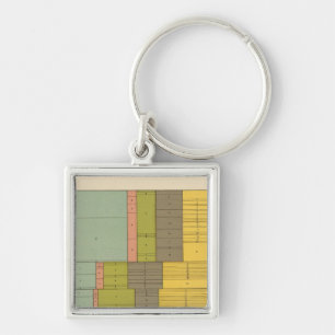 87 Occupations by race, nativity 1900 Keychain