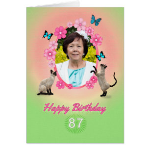 87th photo card with cats and butterflies,