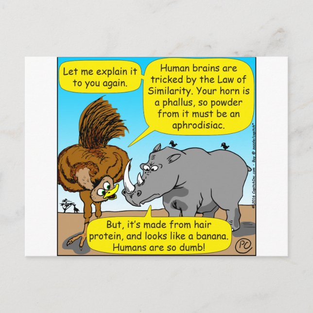 889 Rhino phallus cartoon Postcard (Front)
