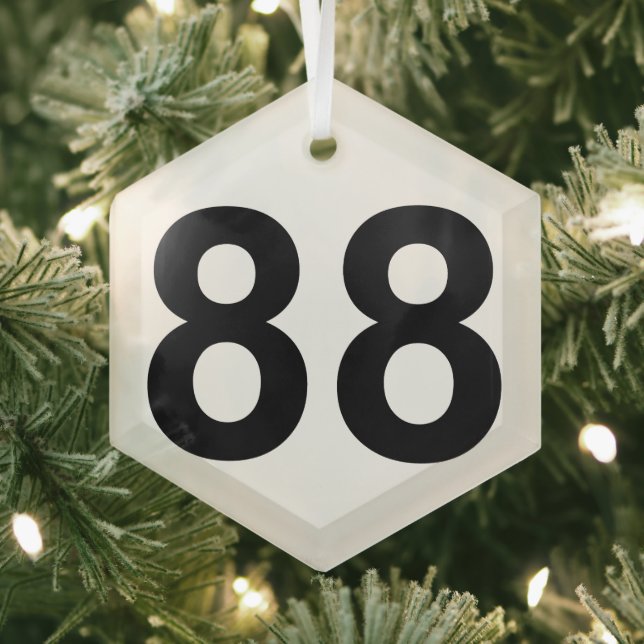 88 - number eighty-eight plate glass ornament (Insitu)