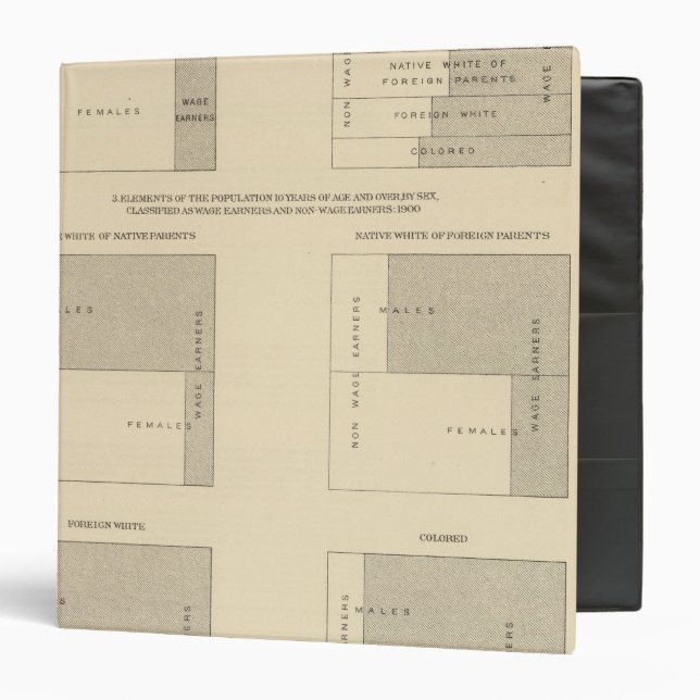 89 Wage earners, classified 1900 Binder (Front/Inside)