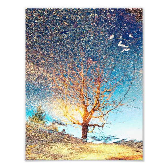 8.5"x11" Photo Print || Cherry Tree Puddle (Front)