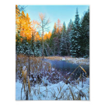 8.5"x11" Photo Print || Last Light